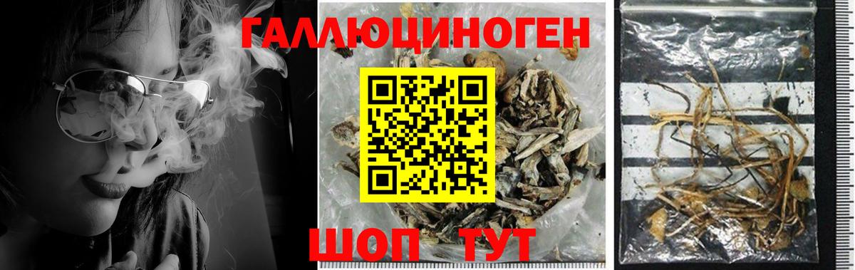 сколько стоит  Вход с VPN  Кубинка  Галлюциногенные грибы прущие грибы 